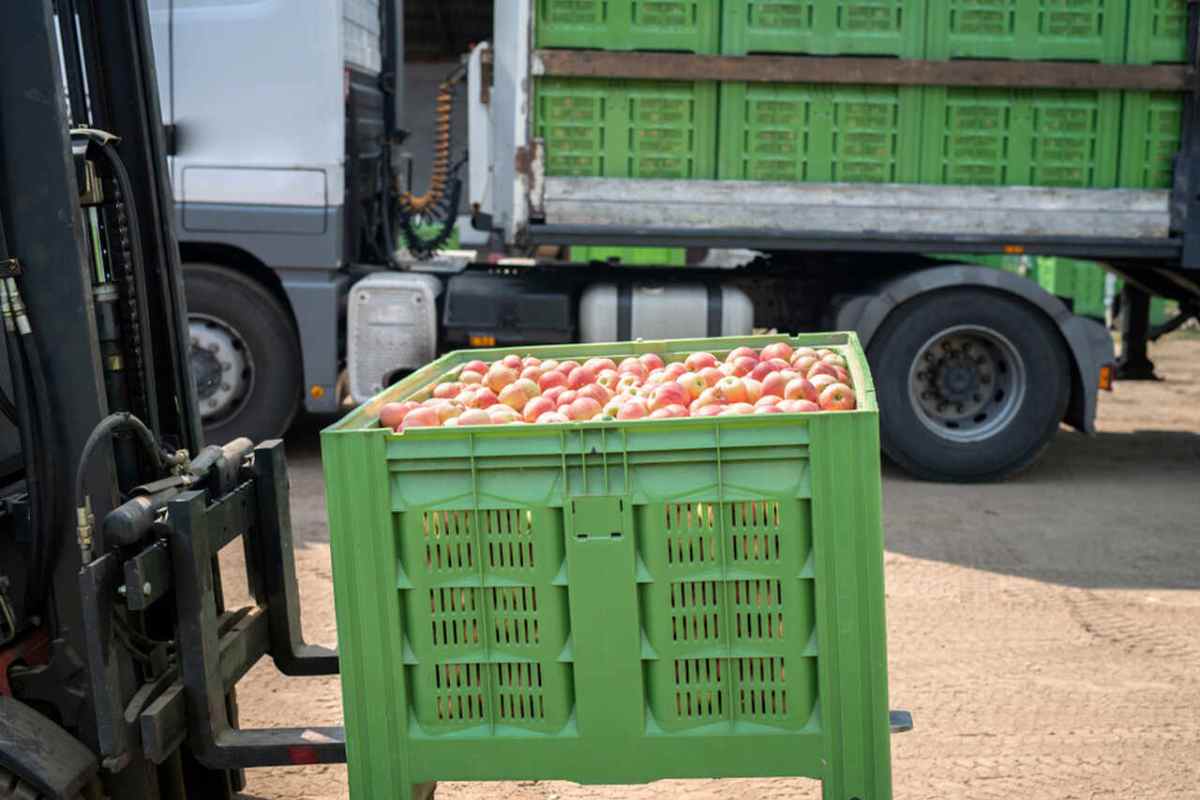 Do campo à mesa do restaurante: A Jornada dos Alimentos